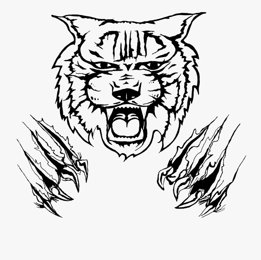 Image Freeuse Stock Bobcat Clipart Draw - Wildcat Sketch, Transparent Clipart