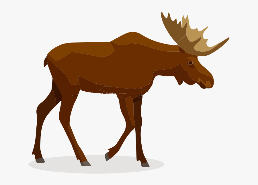 Moose - Cartoon, Transparent Clipart