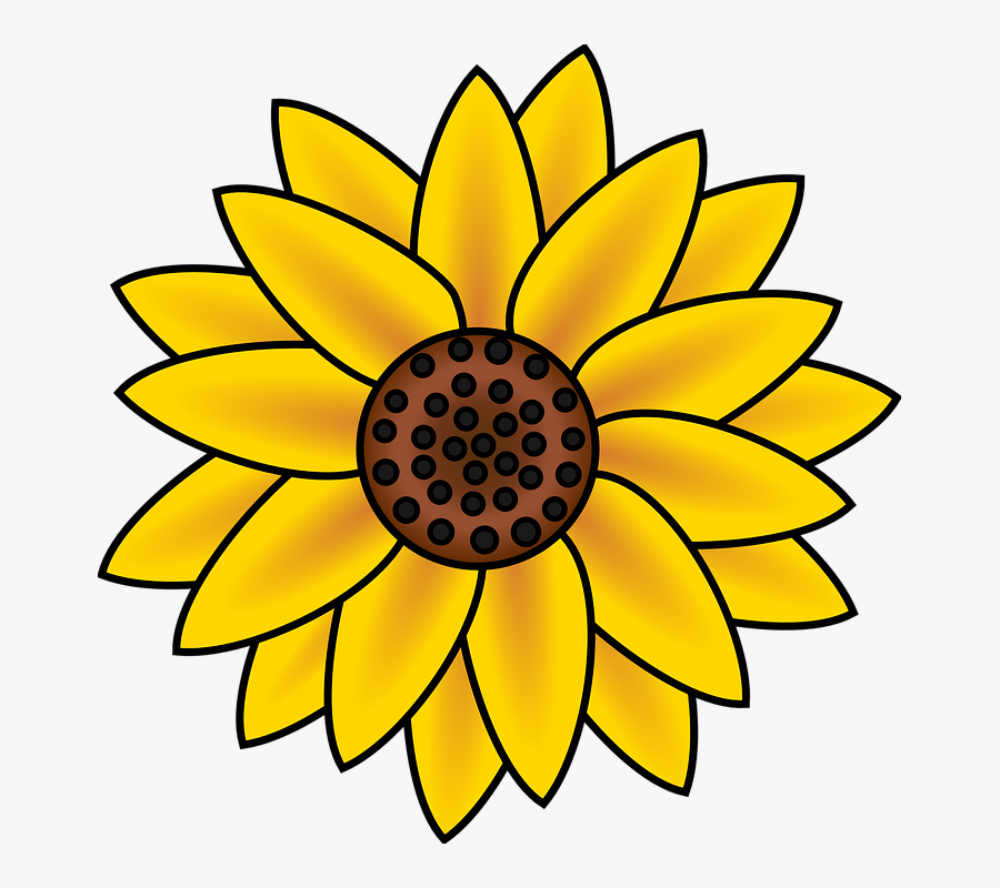 Gambar Bunga Matahari Animasi - Easy To Draw Sunflowers ...