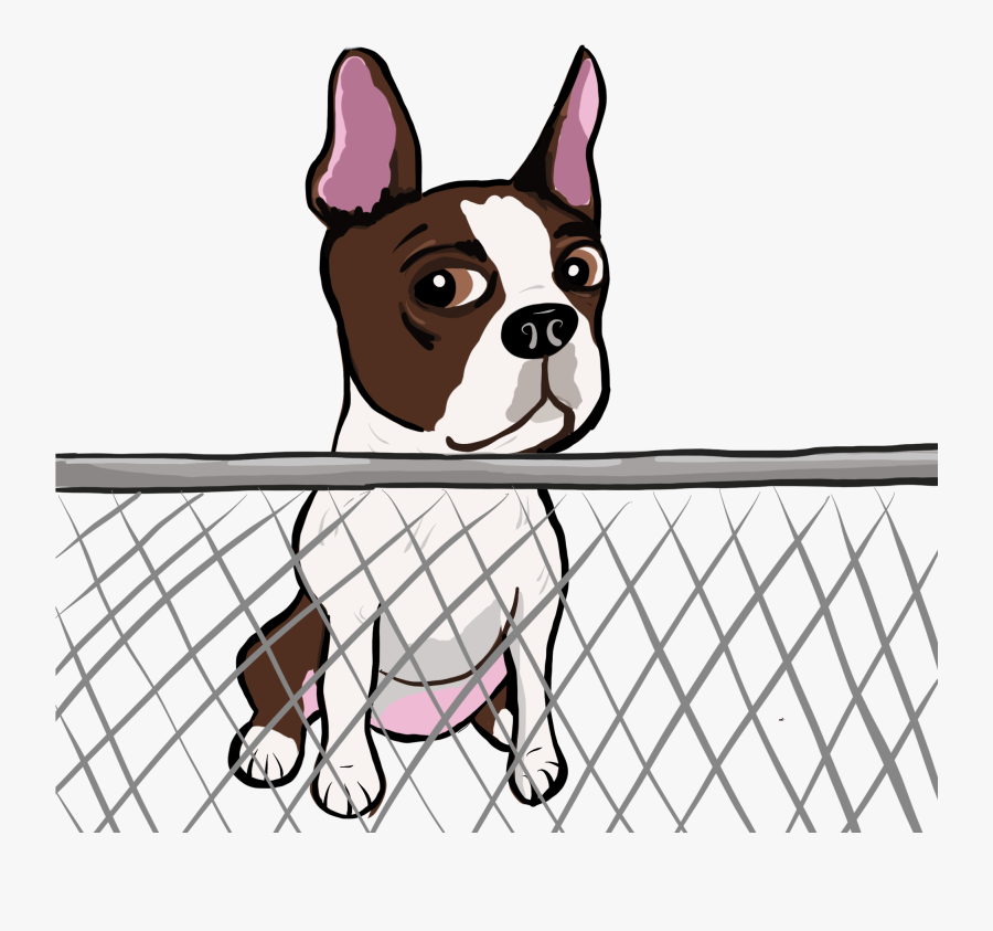 Cute Dogs Pictures - Boston Terrier, Transparent Clipart