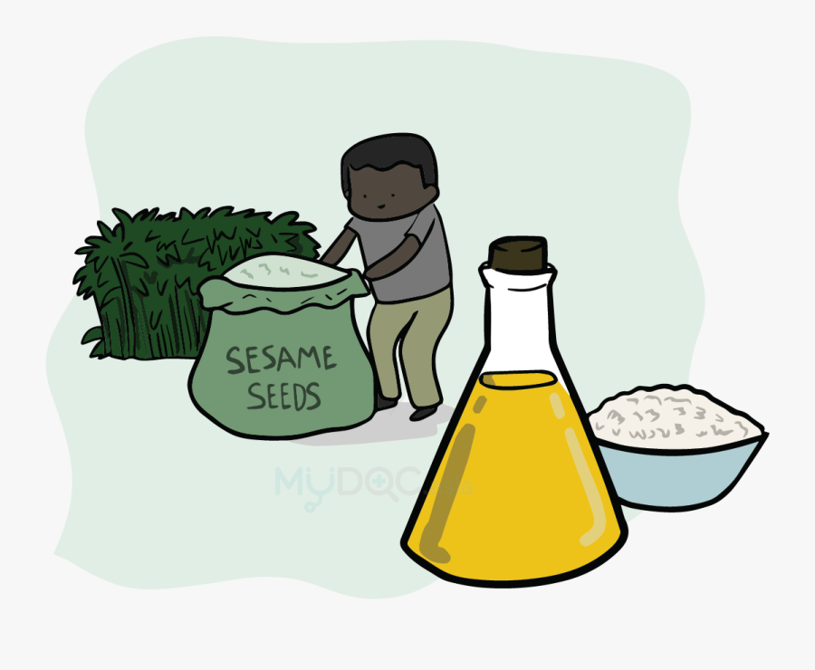 Types Of Cooking Oil - Illustration, Transparent Clipart