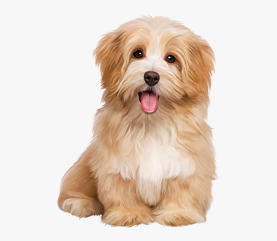 Transparent Cute Dogs Clipart - Dogs Sitting, Transparent Clipart
