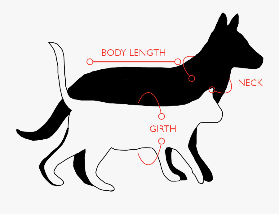 Dogs Clipart Body - Dog, Transparent Clipart