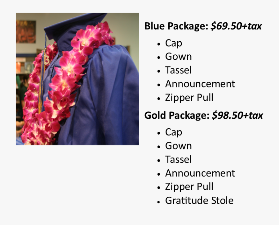 Transparent Cap And Gown Clipart - Check, Transparent Clipart