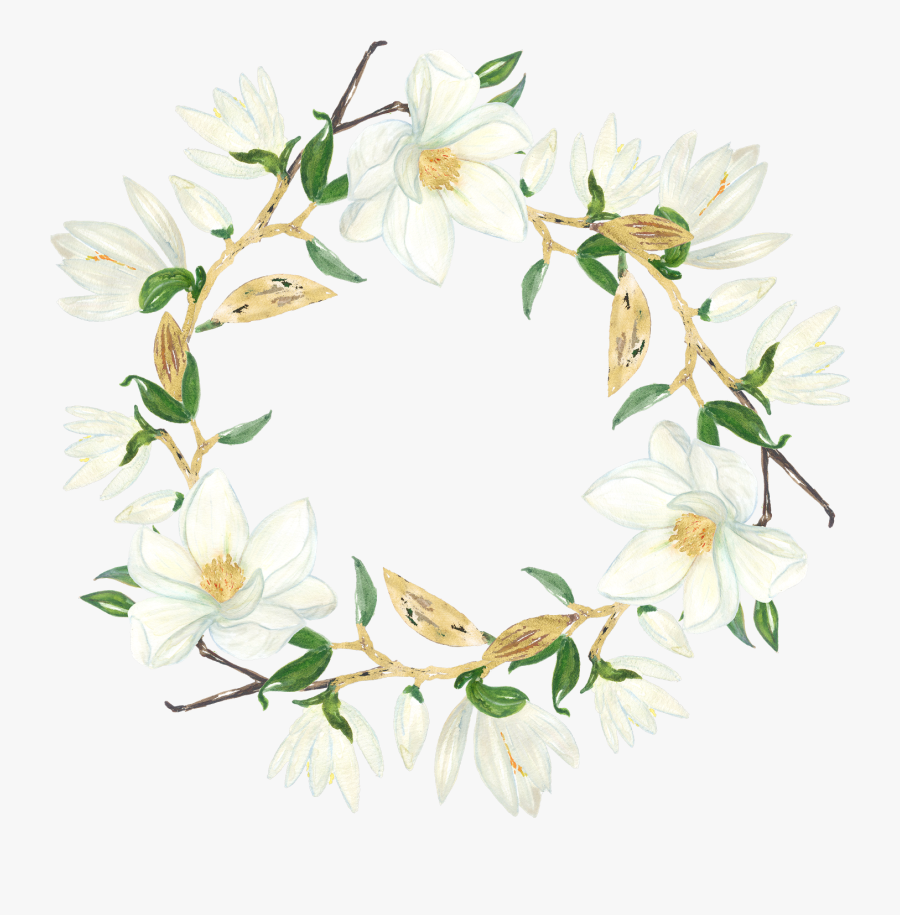 Magnolia Clipart Magnolia Flower - Design, Transparent Clipart