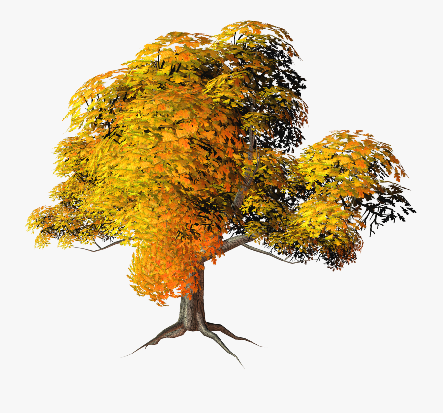 Large Yellow Fall Tree Png Clipart Zpsqtz6l1uj - Fall Tree Transparent Background, Transparent Clipart