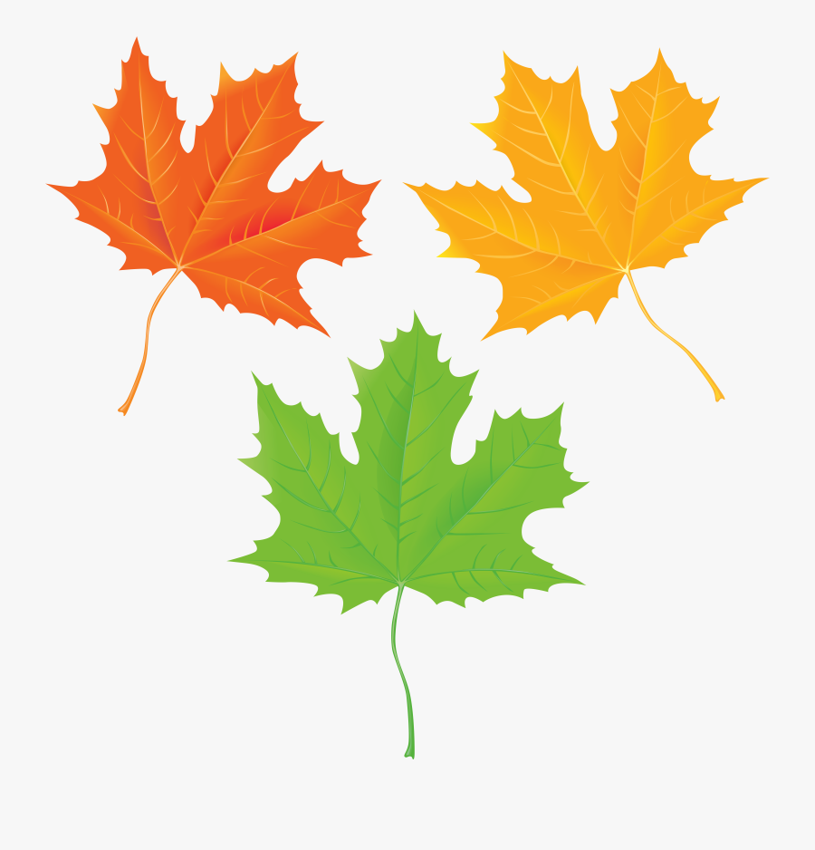 Autumn Leaves Transparent Clip Art Imageu200b Gallery, Transparent Clipart