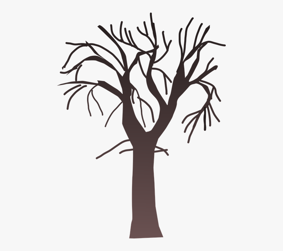 Tree, Bare, Branches, Sadly, Winter - Barren Tree Clip Art, Transparent Clipart