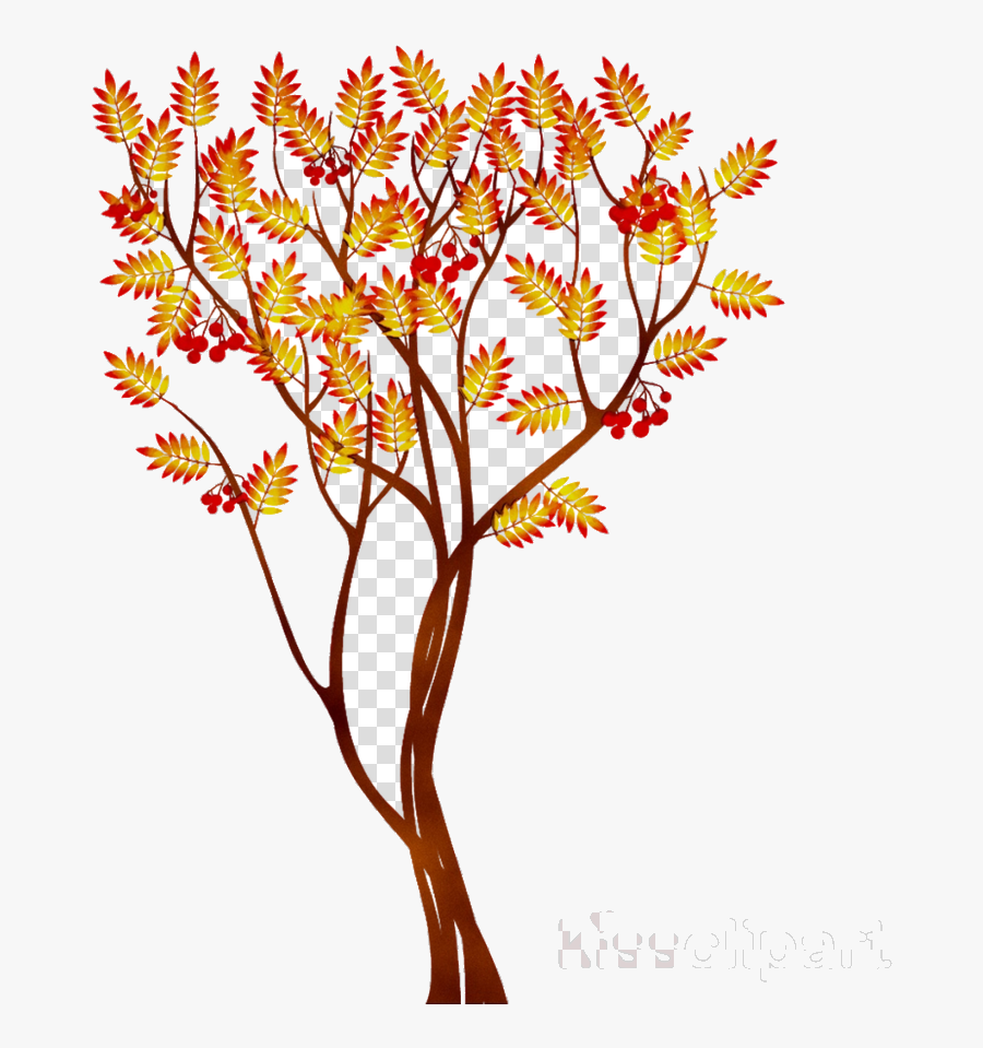 Fall Tree Autumn Flower Transparent Image Clipart Free - Clip Art, Transparent Clipart