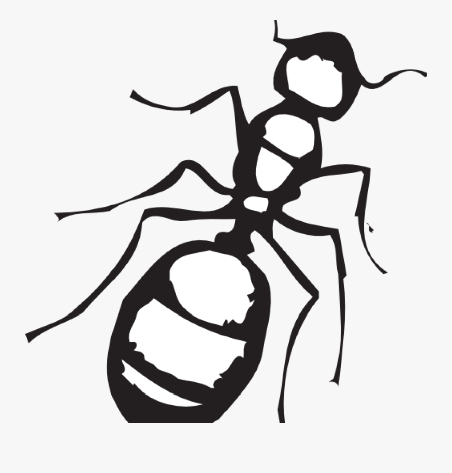 Ant Clipart Black And White Sketch Of An Ant Clip Art - Clip Art Of Ant, Transparent Clipart