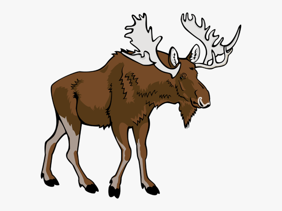 Cartoon Moose Clipart Free Clip Art Image Image - Transparent Background Moose Clipart, Transparent Clipart