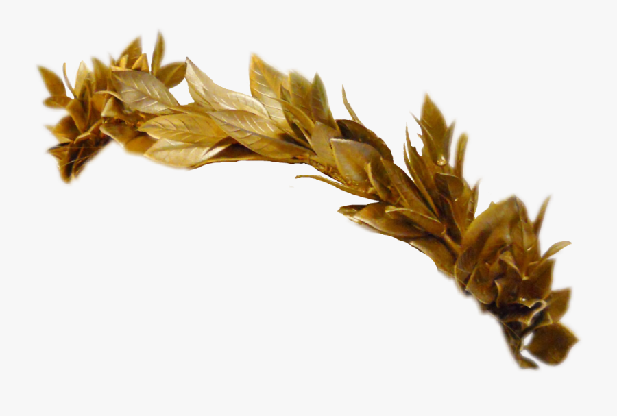 Golden Clipart Gold Leaf Crown - Gold Flower Crown Transparent, Transparent Clipart