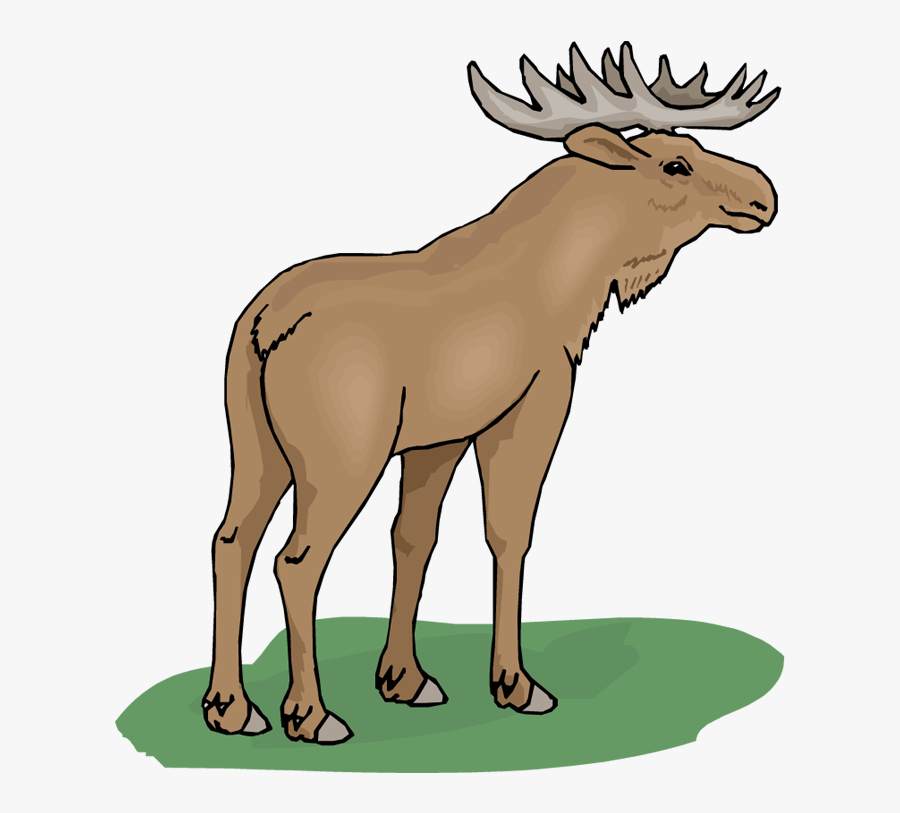 Funny Moose Clipart - Moose Png Clipart, Transparent Clipart