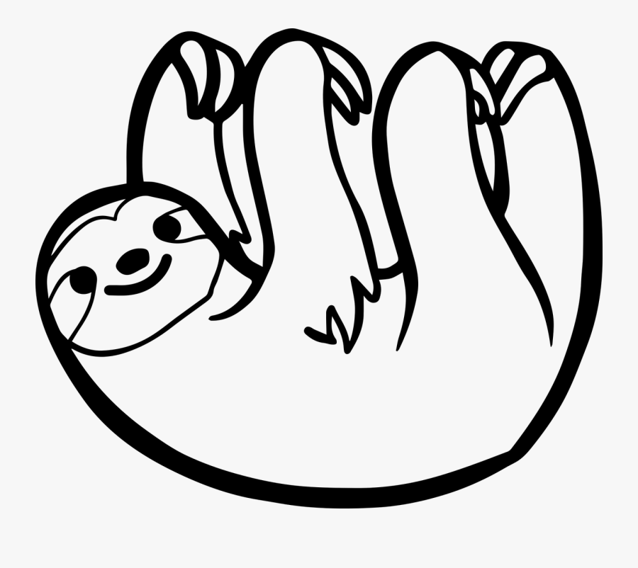 Sloth Clipart Rainforest Animal - Sloth Black And White, Transparent Clipart