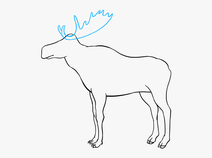 How To Draw Moose - Moose Drawing, Transparent Clipart
