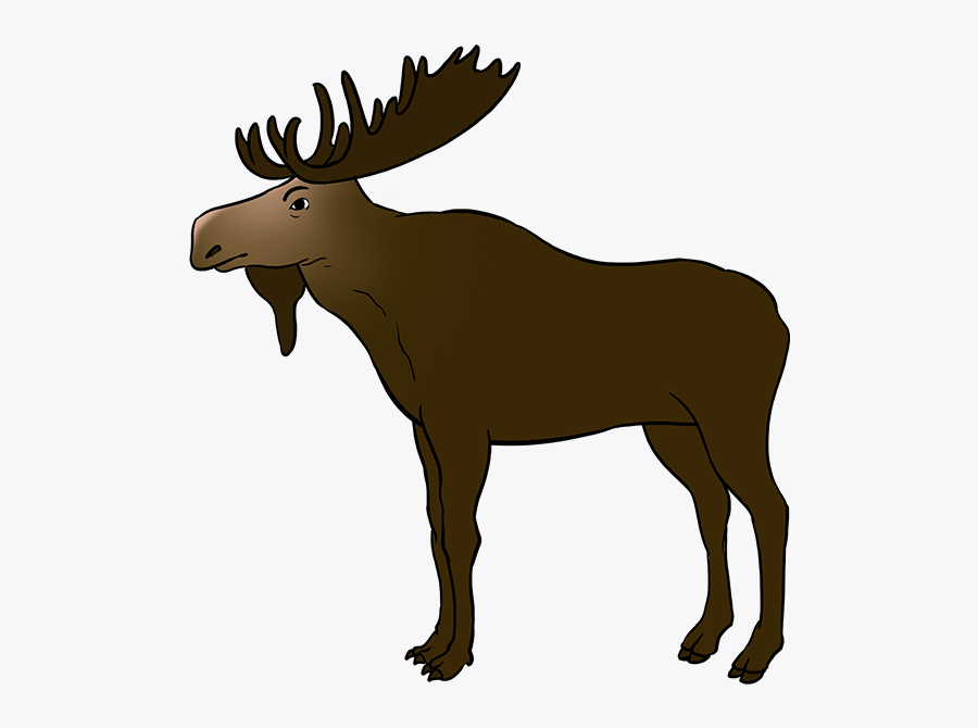 How To Draw Moose - Draw A Moose Step By Step, Transparent Clipart