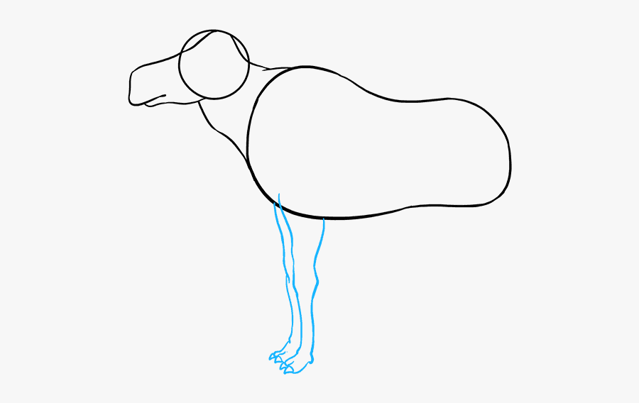 How To Draw Moose, Transparent Clipart