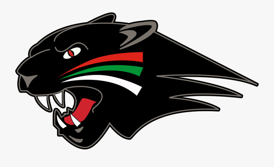 Augsburger Panther Head Logo Transparent Png - Nation Ford Falcon Logo, Transparent Clipart