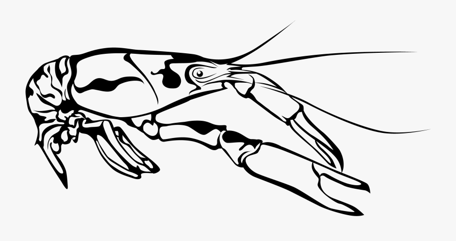 Crawfish - Louisiana Crawfish Clipart Black And White, Transparent Clipart