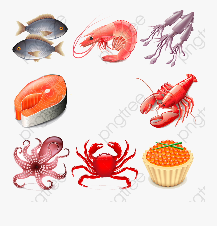 Cartoon Seafood, Transparent Clipart