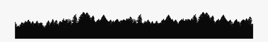 Shortleaf Black Spruce, Transparent Clipart