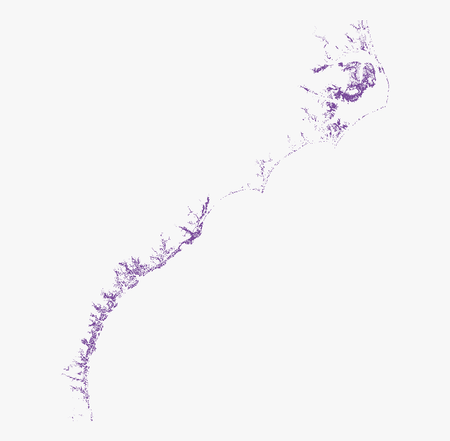 Sketch, Transparent Clipart