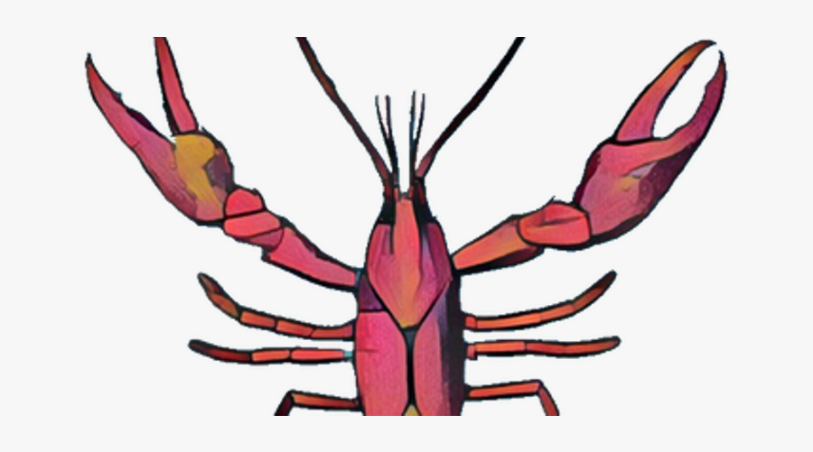 Lobster Clipart Crawfish Boil, Transparent Clipart