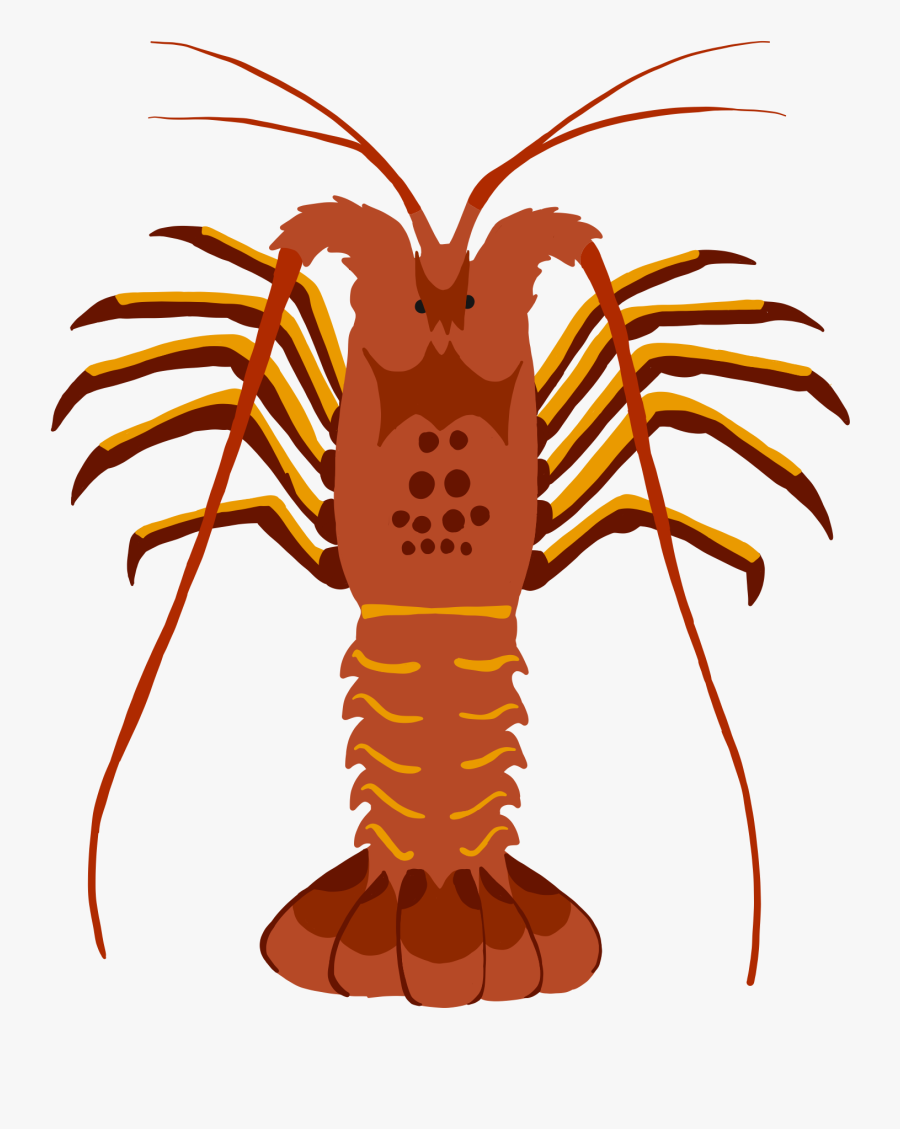 Lobster Clipart , Png Download - Difference Between Lobster And Crayfish, Transparent Clipart