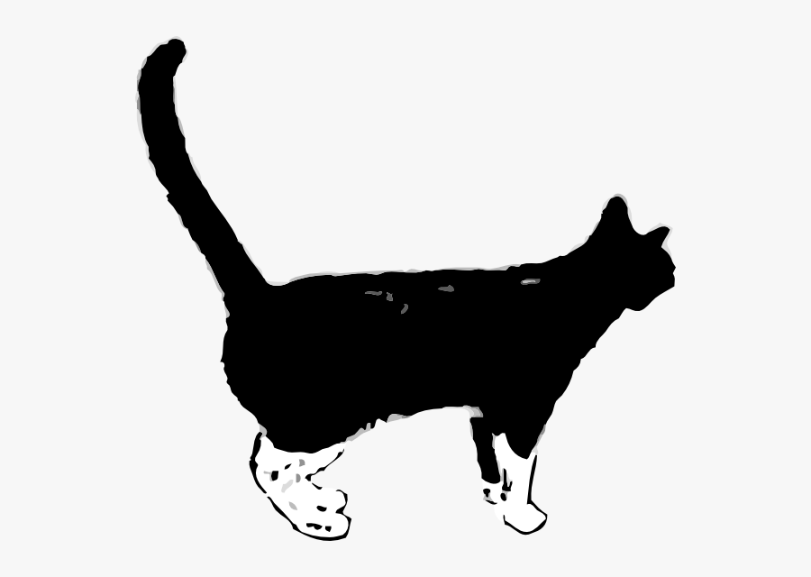 Cat Gif Png, Transparent Clipart