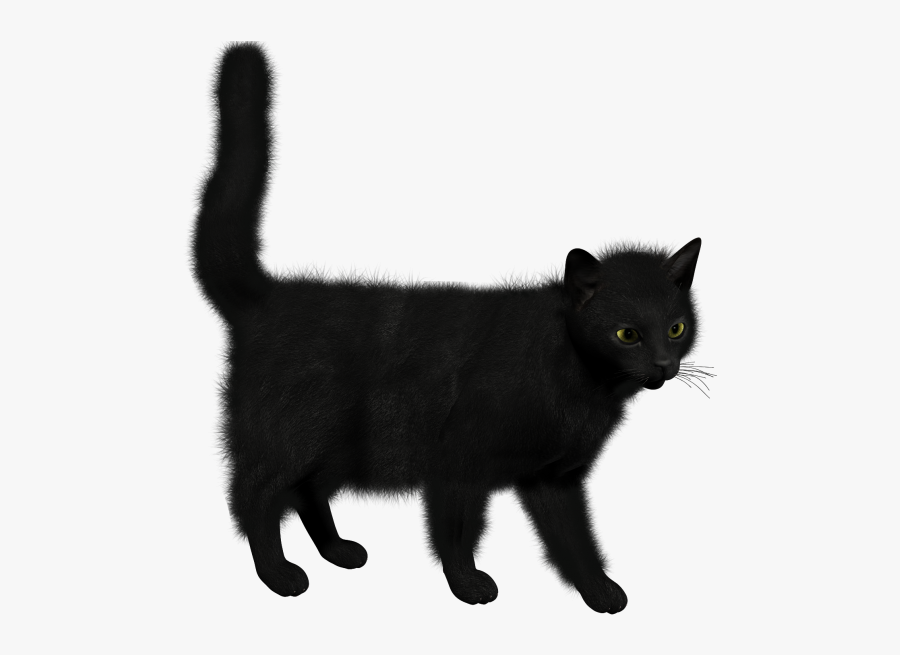 Black Cat Clipart - Черная Кошка На Прозрачном Фоне, Transparent Clipart