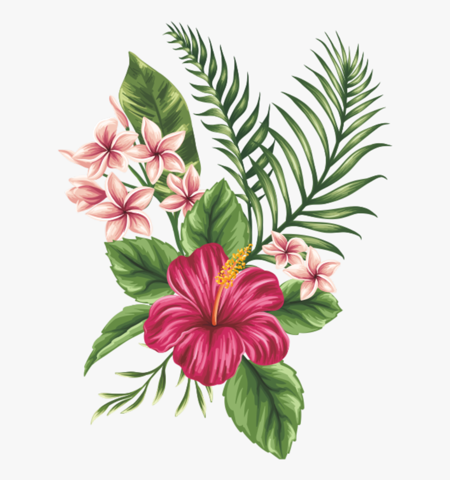 #hawaii #flowers #nature - Hawaiian Flowers Drawing, Transparent Clipart
