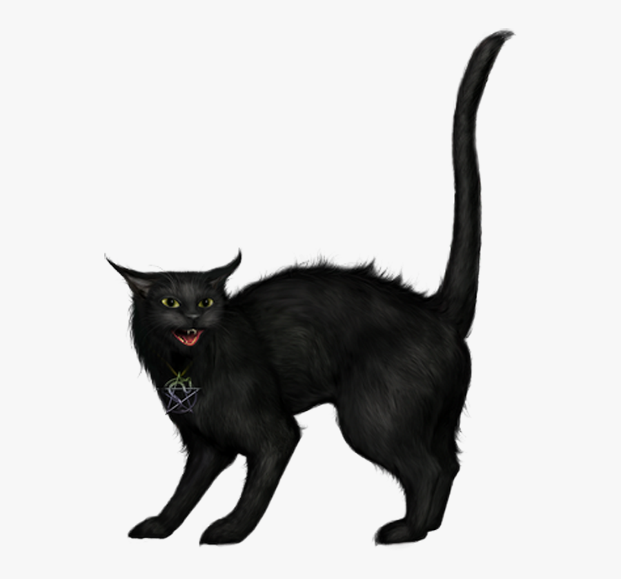 Creepy Black Cat Png Picture - Black Cat Png, Transparent Clipart