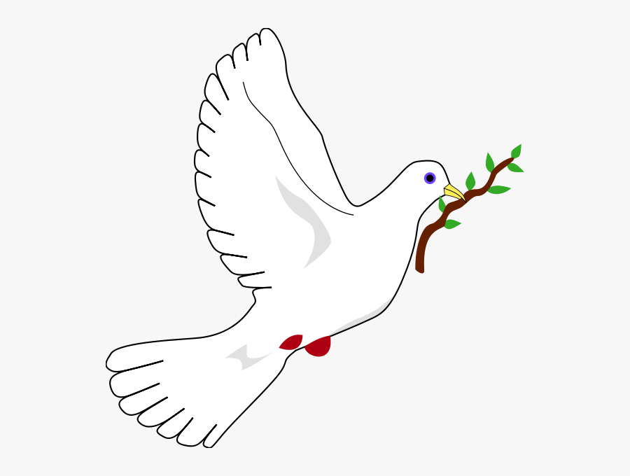 Peace Dove, Transparent Clipart