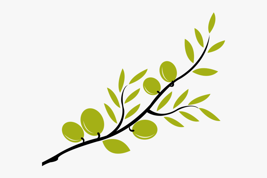 Olive Branch - Olive Tree Branch Clipart, Transparent Clipart