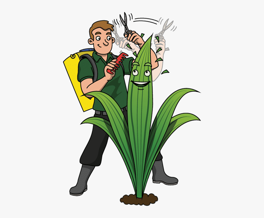 Cartoon, Transparent Clipart