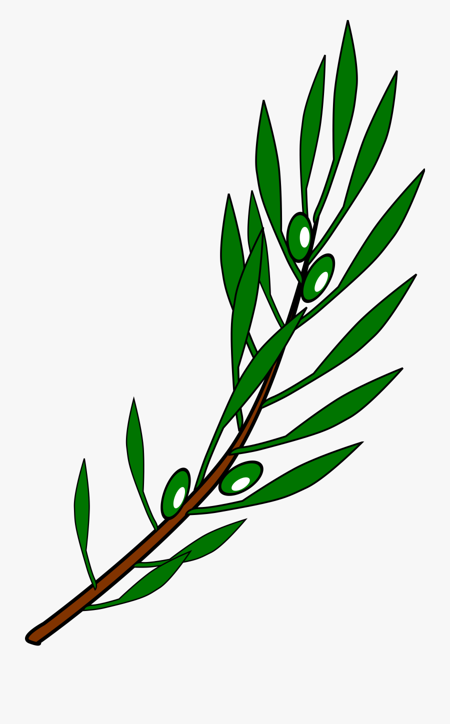 Olive Branch Vector Png - Olive Branch Drawing, Transparent Clipart