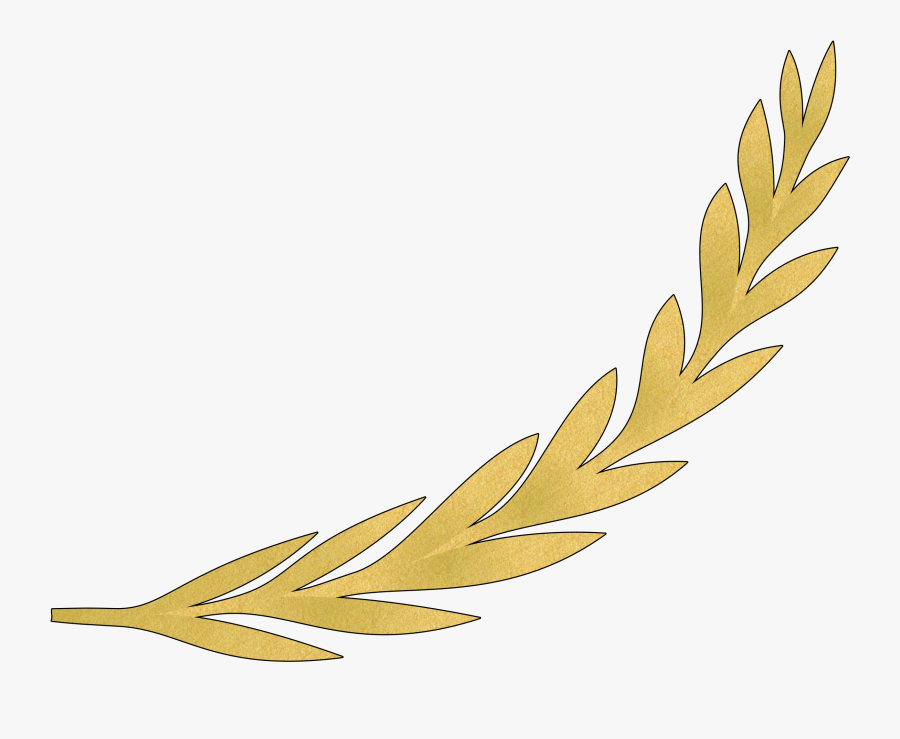 Plant,flower,leaf - Golden Olive Branch Vector, Transparent Clipart