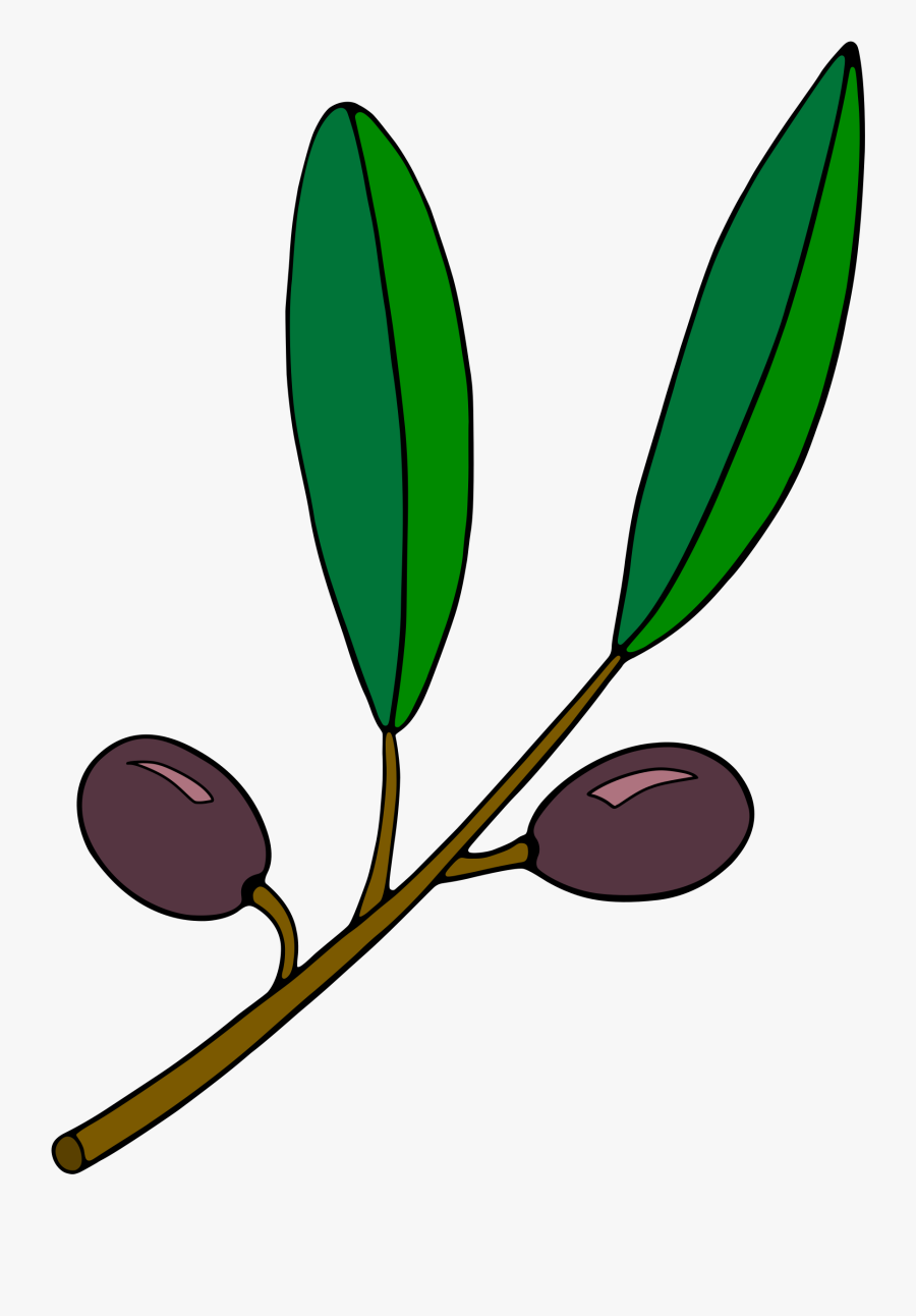 Olive Branch Clip Part, Transparent Clipart