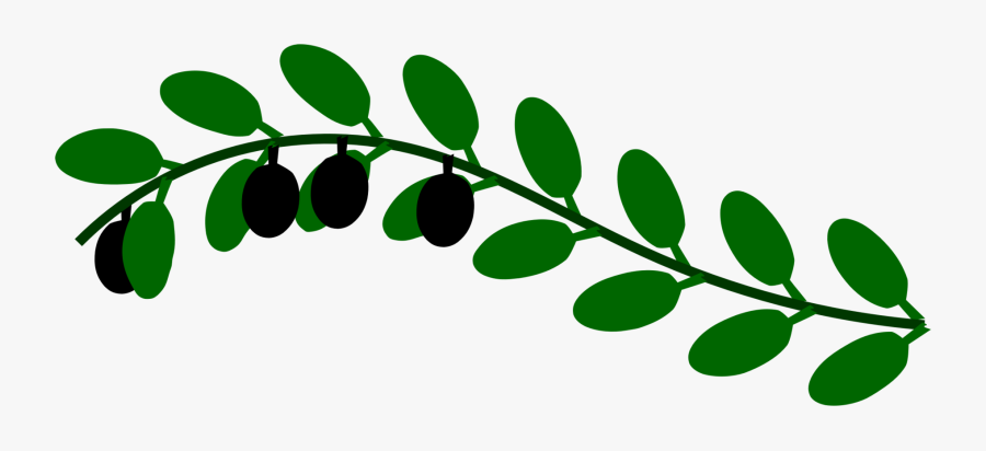 Olive Branch - Straight Olive Branches Png, Transparent Clipart