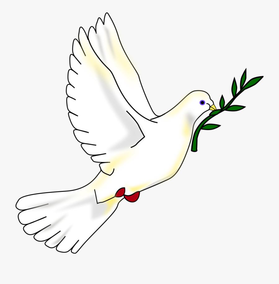 Clipart Dove With Olive Branch - Imagen De La Paloma De La Paz, Transparent Clipart