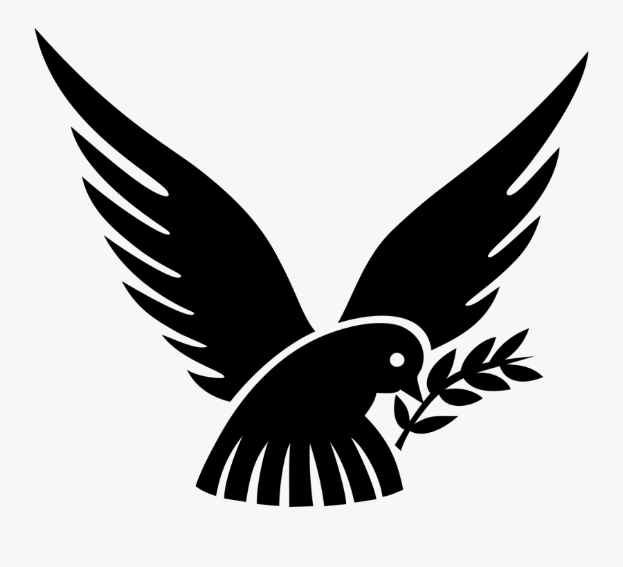 And Medium Image Png - Dove With Olive Branch Png, Transparent Clipart