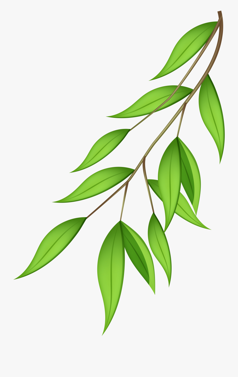 Olive Branch Clipart Vector - Transparent Background Green Leaf Branch Png, Transparent Clipart