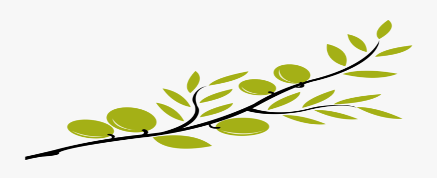 Although Markedly Chinese, The Symbol Is Quite Familiar - Olive Tree Branch Transparent, Transparent Clipart