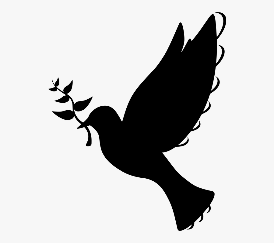 Silhouette, Peace, Dove, Flying, Olive, Branch, Symbol - Batak Christian Protestant Church, Transparent Clipart