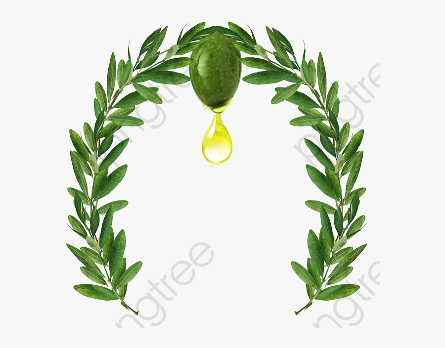 Olive Branch Clipart Green - اوراق الزيتون, Transparent Clipart