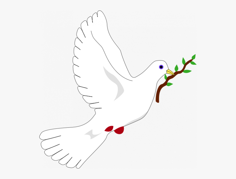 Dove With Olive Branch Png Images Transparent Png - Symbol Of Peace Bird Name, Transparent Clipart
