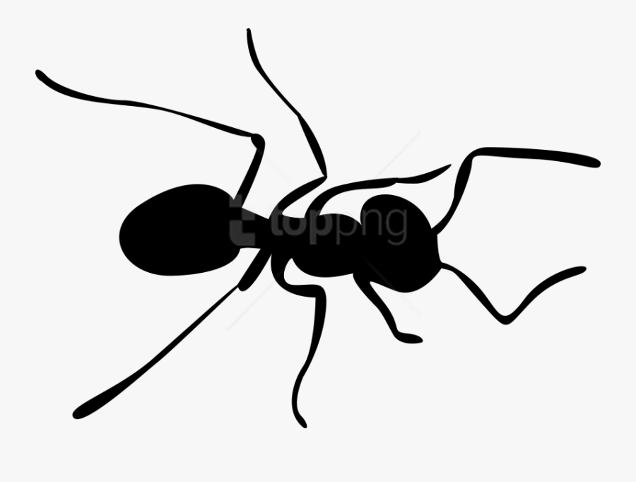 Download Ants Clipart Png Photo Ant Clipart Transparent