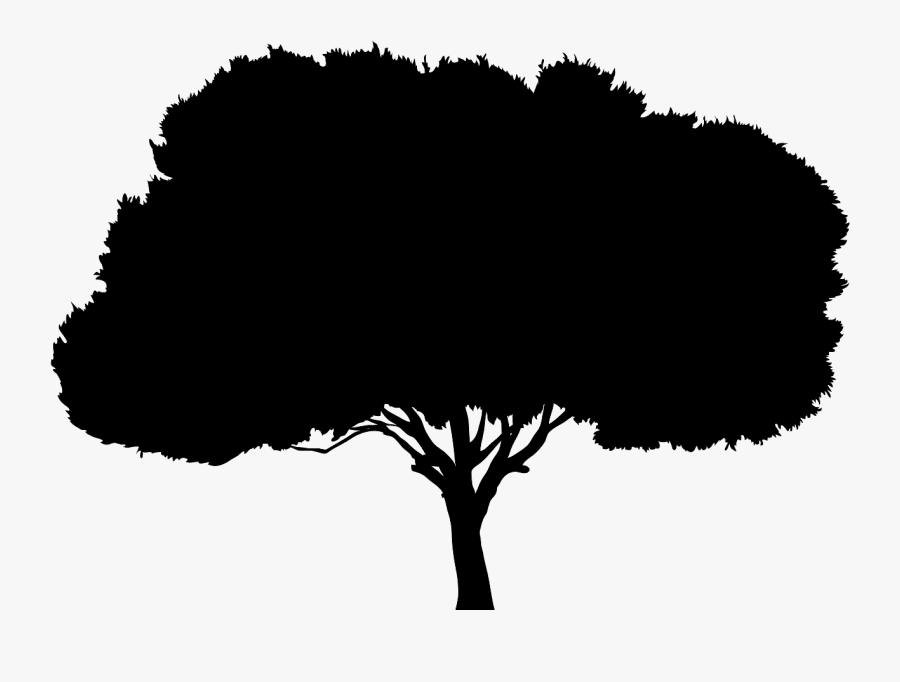 Tree Silhouette, Transparent Clipart