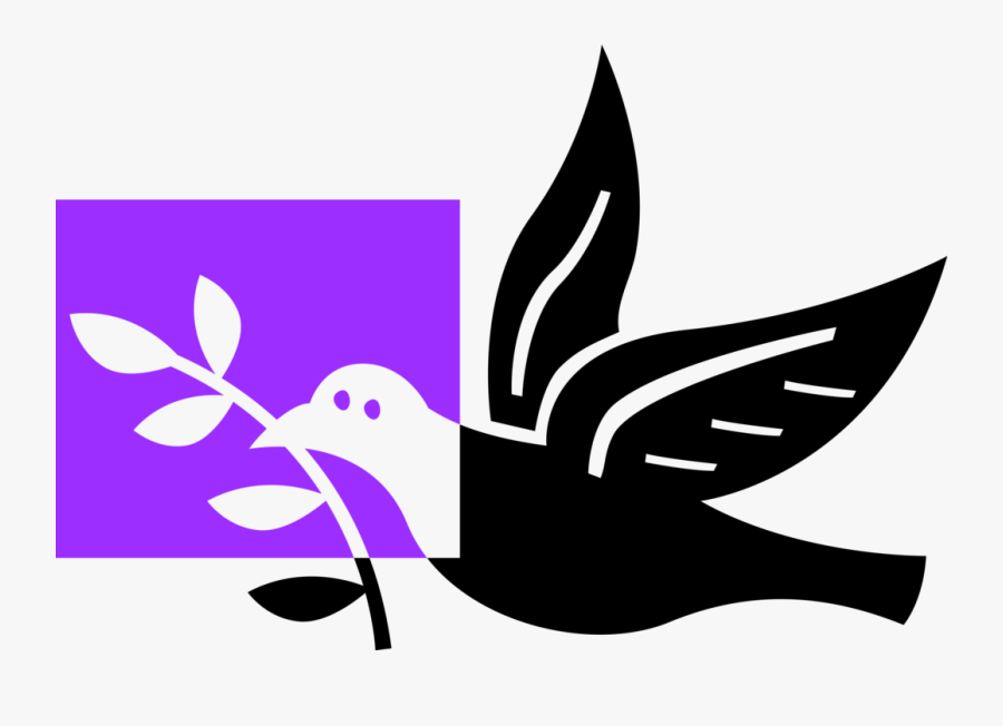 Vector Illustration Of Dove Bird With Olive Branch, Transparent Clipart