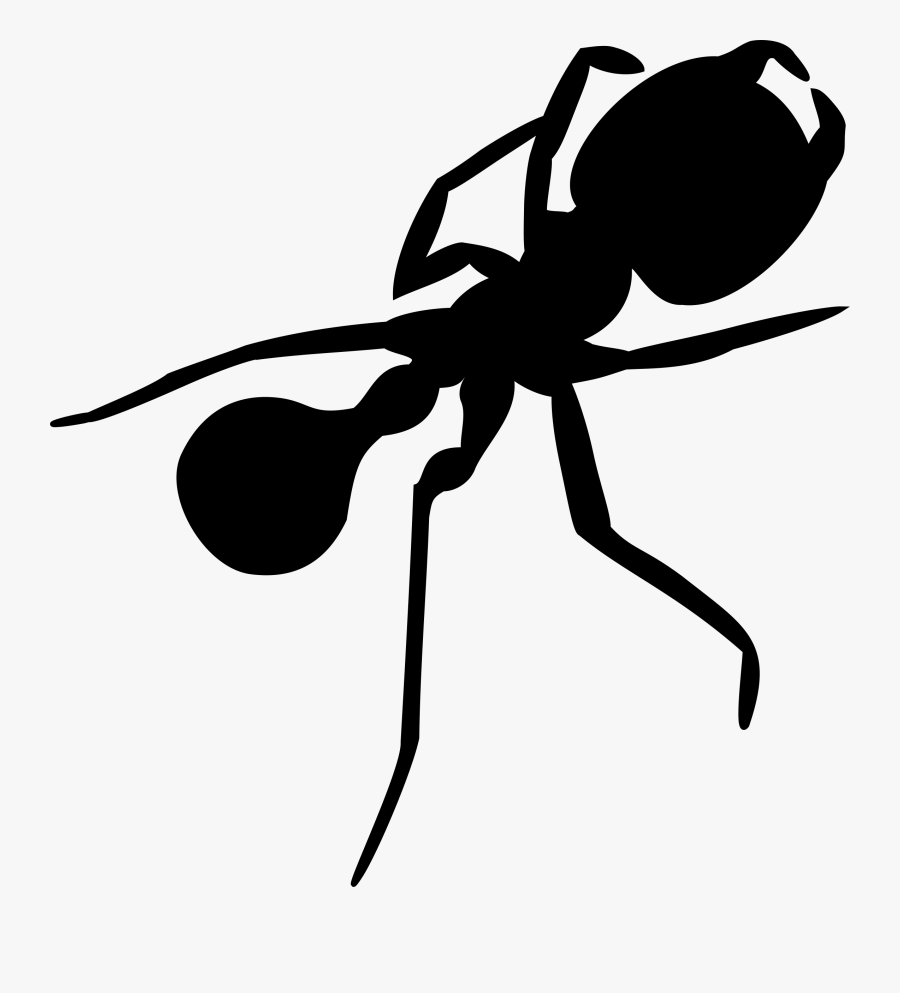 Ant Silhouette 1 - Ant Silhouette Clipart, Transparent Clipart